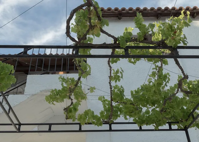 Elpiniki 2* ترولو