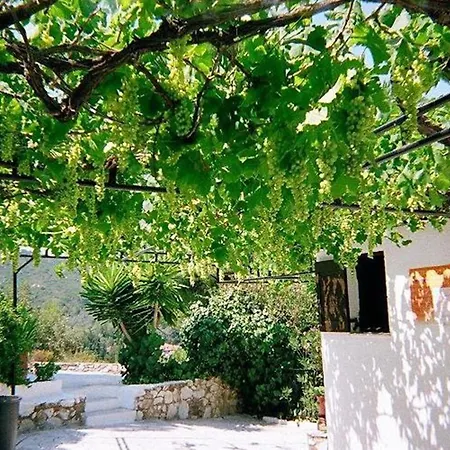 Elpiniki